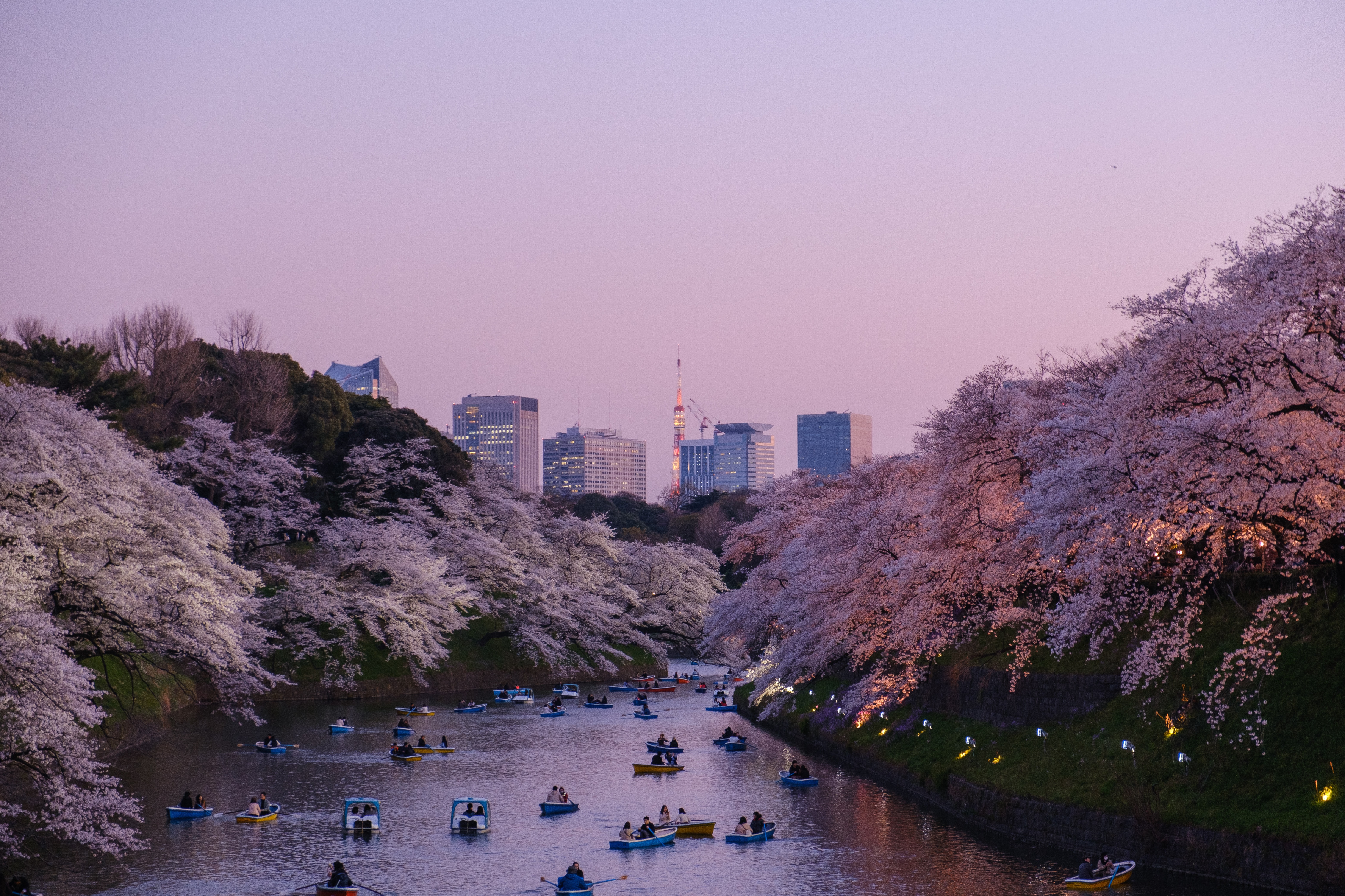 Top 3 địa điểm siêu lãng mạn cho tuần trăng mật ở Nhật Bản